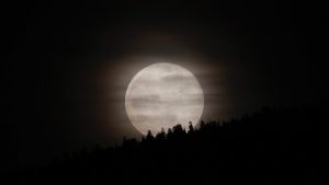 Harvest Moon Rises Over Jackson Tonight Perfect For Evening Strolls