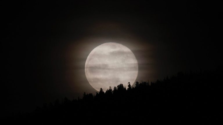 Harvest Moon Rises Over Jackson Tonight Perfect For Evening Strolls