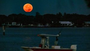 Harvest Moon To Peak On Sept 26 Marking The Start Of Fall