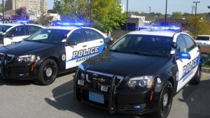 Haverhill Police Urge Caution After Coyote Bites Resident Near Toddler