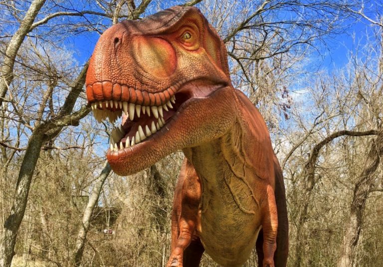 Heard Museum Brings Back Life Size Dinosaurs For Family Adventure In Mckinney
