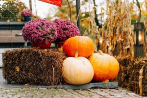 Hello Pumpkin Launches Luxury Pumpkin Concierge Service In Floyds Knobs