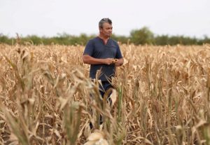 Hungary S Central Bank Considers Climate Risk Scenarios Amid Drought Driven Infl