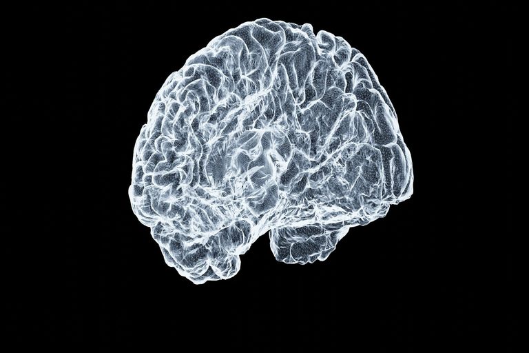 Idaho Sees Sharp Increase In Alzheimer S Deaths Over Past Decade