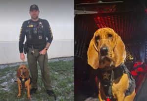 Indian River Deputy And K9 Rescue Missing 84 Year Old With Dementia In Gadsden C