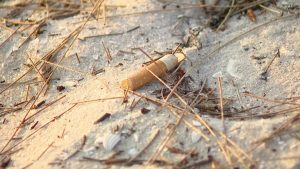 Indian Rocks Beach Bans Smoking And Vaping On Sand To Protect Families And Wildl