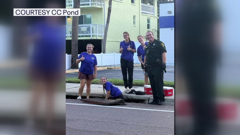 Indian Rocks Beach Volunteers Rescue Sea Turtles From Storm Drain After Bright L