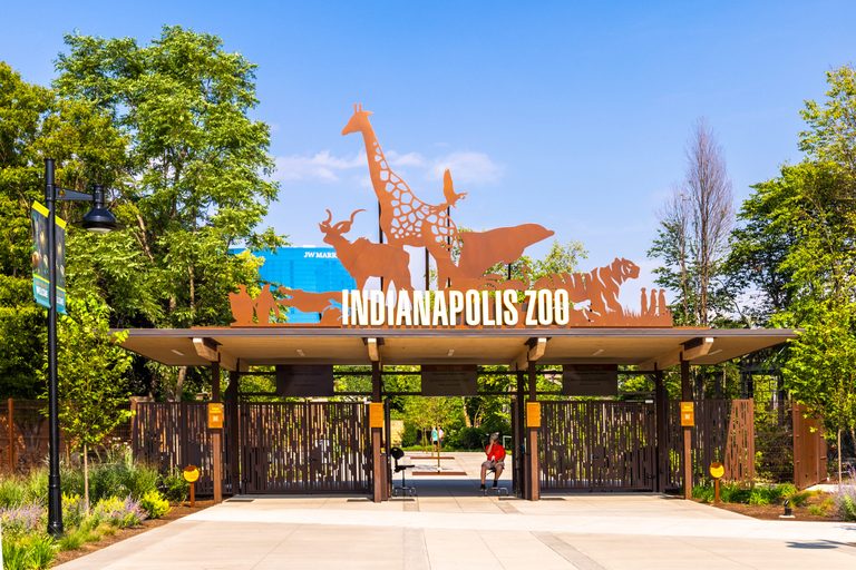 Indianapolis Zoo Loses Aza Accreditation Amid Organizational Concerns
