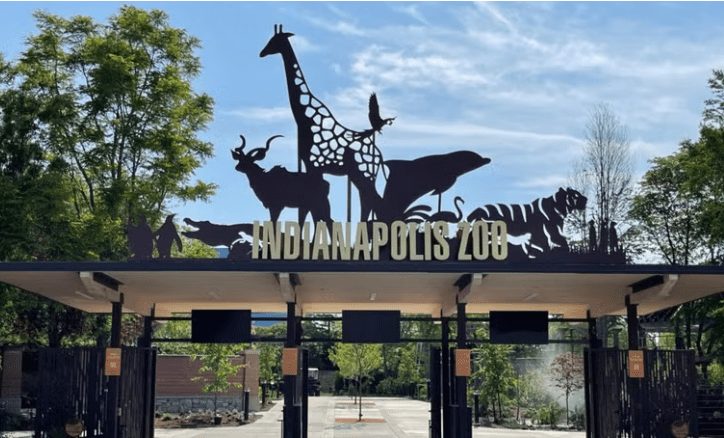 Indianapolis Zoo Loses Aza Accreditation Pledges Swift Improvements