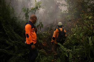 Indigenous Groups And Civil Society Organizations File Lawsuit Against President