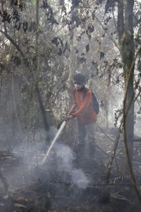 Indonesia President Calls For Tougher Penalties On Wildfire Igniters