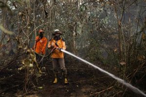 Indonesia Warns Wildfires May Burn Through October Into Early November