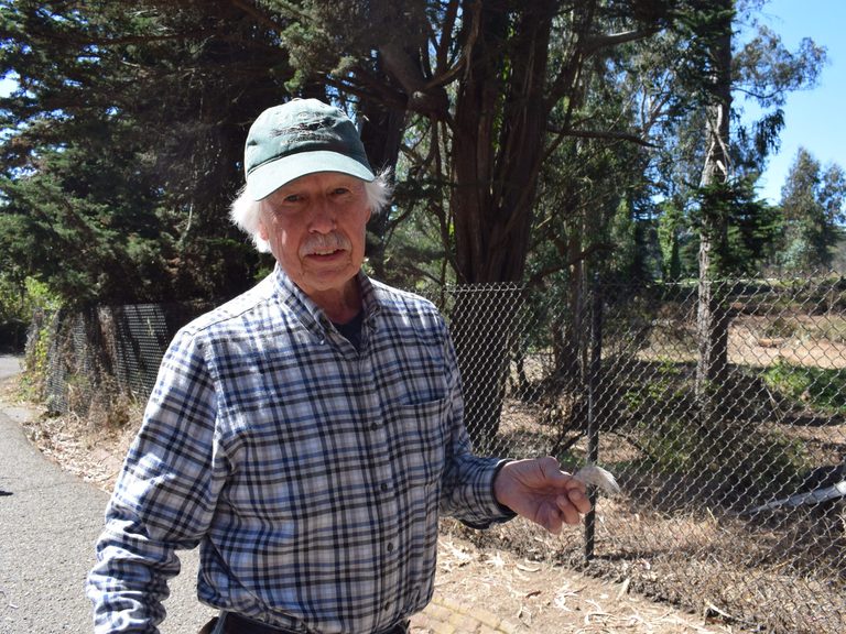 Inner Richmond Resident Helps Injured Owl Watches It Return To The Presidio