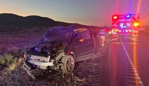 Investigation Launched After Early Morning Suv Horse Collision On Us 95A South O