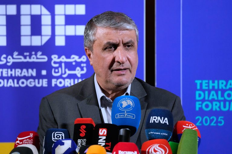 Iranian Nuclear Chief Barred From Attending Iaea Conference In Vienna