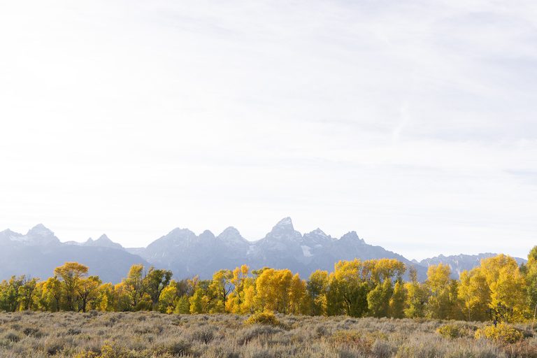 Jackson Hole S Autumn Colors Where To See The Best Fall Foliage