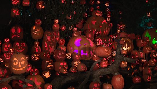 Kentucky Kingdom Partners With Jack O Lantern Spectacular For New Pumpkin Trail