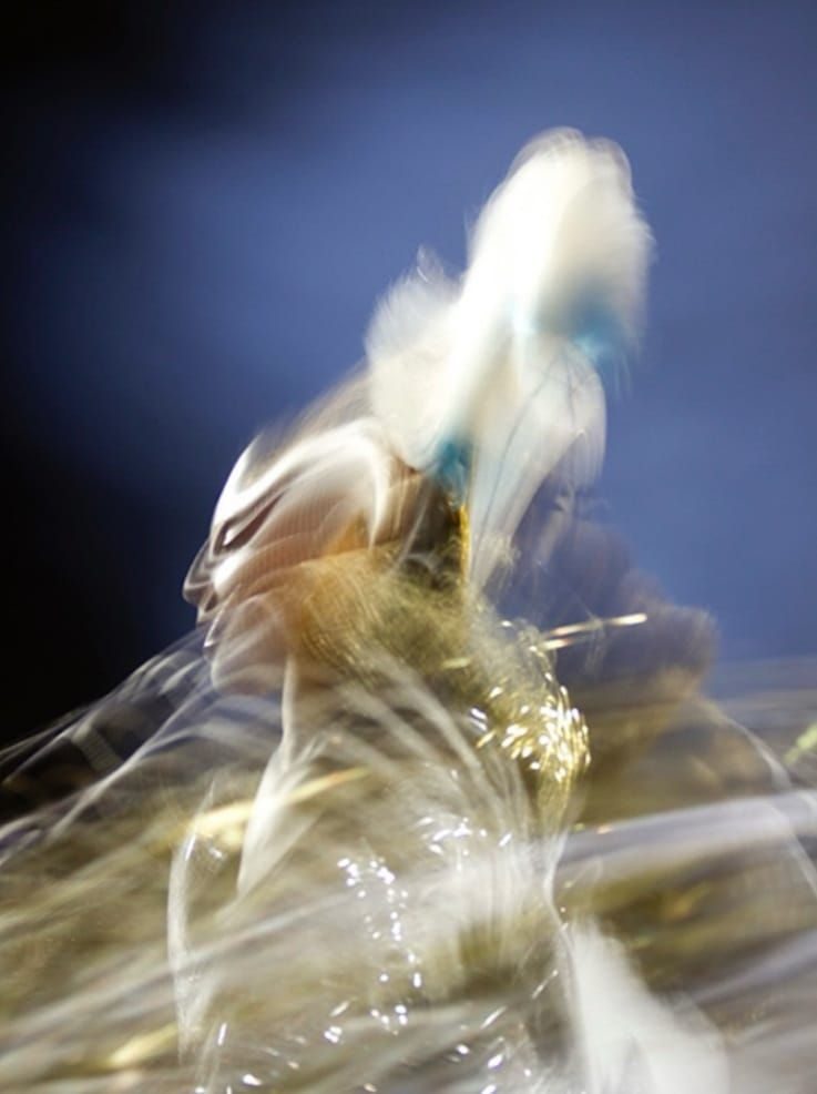 Kim Weston S Dancing With Sweet Grass Opens At Clare Gallery In Hartford