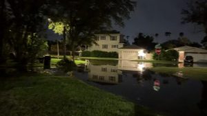 King Tides Cause Flooding On Shore Acres Roads Officials Urge Caution
