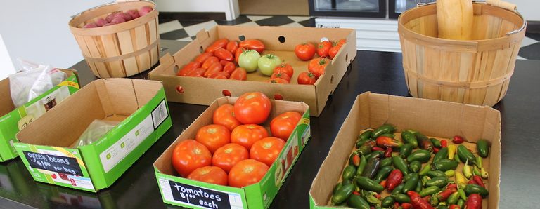 Klein Farmers Market To Open Oct 24 Offering Local Families Fresh Produce And Ha