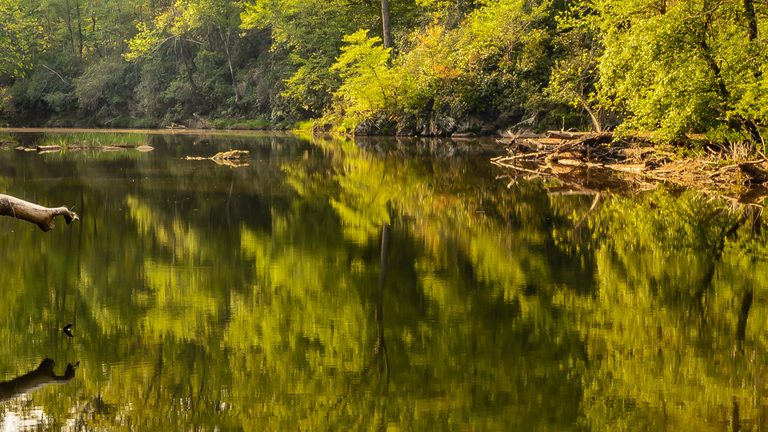 Labor Day Water Safety How Nc Families Can Avoid Deadly Amoeba And Bacteria