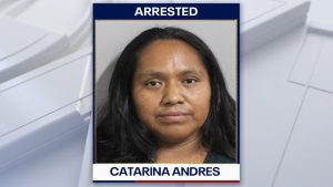 Lakeland Deputy Arrested Illegal Immigrant After Her Car Backed Into Patrol Vehi