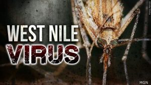 Lancaster County Records First West Nile Virus Death Of The Season