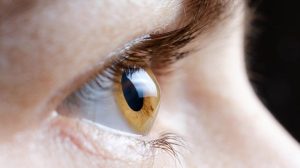 Lawsuits Allege Glp 1 Weight Loss Drugs May Increase Rare Eye Stroke Risk