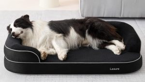 Le Sure Realortho Orthopedic Dog Bed Now 50 Off On Amazon