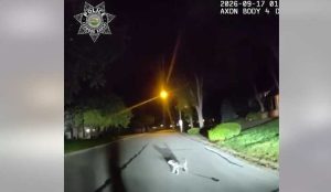 Leawood Police Officer Follows Stray Dog To Rescue Homeowner Who Fell