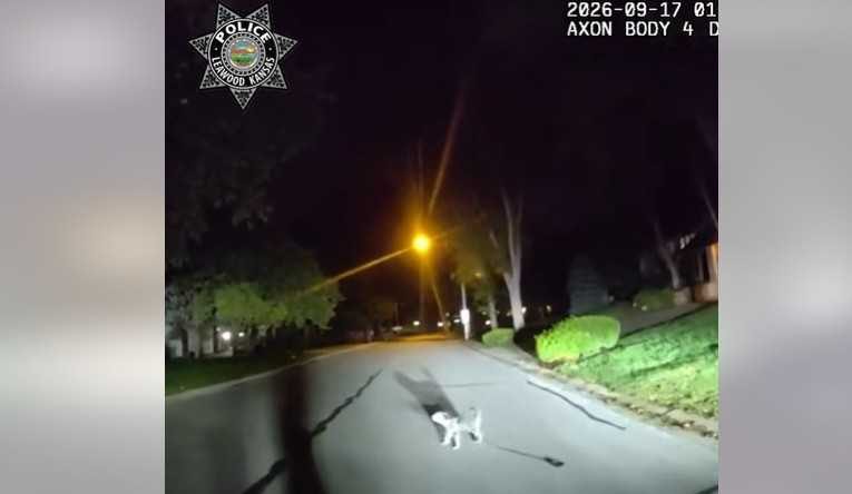 Leawood Police Officer Follows Stray Dog To Rescue Homeowner Who Fell