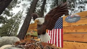 Life Size Wood Sculpture Of Beloved Big Bear Bald Eagle Unveiled In North Shore