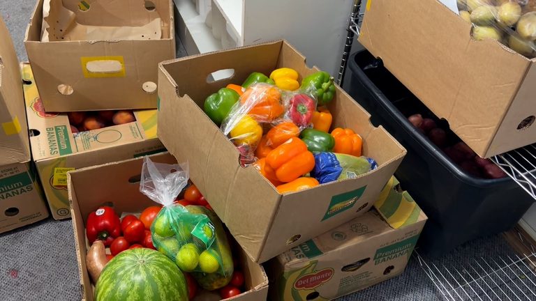 Lincoln Launches Harvest For Hunger Program To Redirect Garden Surplus To Local