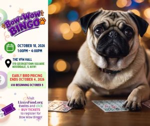 Lizzy S Fund Hosts Senior Dog Bingo For Charity In Naperville