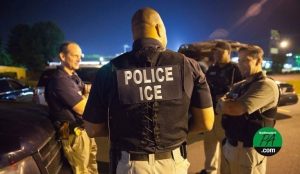 Local Police And Ice Cooperate On September 2 Immigration Enforcement In Danvill