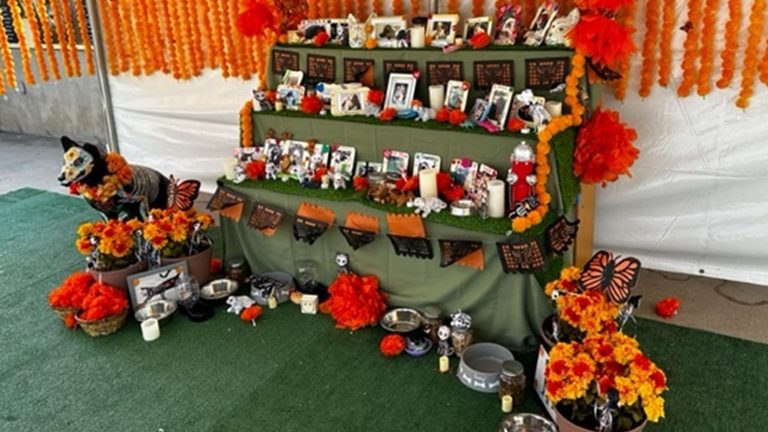 Los Angeles Zoo Opens Pet Ofrenda To Honor Beloved Animals During Hispanic Herit