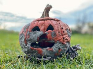 Lubbock Residents Get Practical Ideas For Reusing Old Halloween Pumpkins