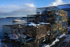 Machias Launches Community Driven Plan To Protect Dike And Downtown From Future