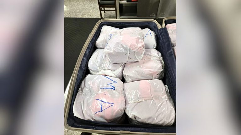 Man Arrested At Dulles Airport After 65 Pounds Of Khat Seized