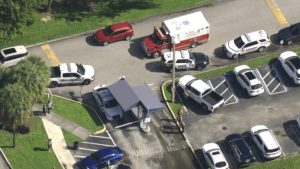 Man Carjacks Woman In Palmetto Hospital Parking Lot After Escaping Mental Health