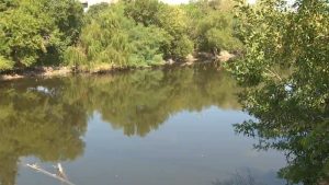 Man Found Dead In Elmendorf Lake Park On San Antonio S West Side