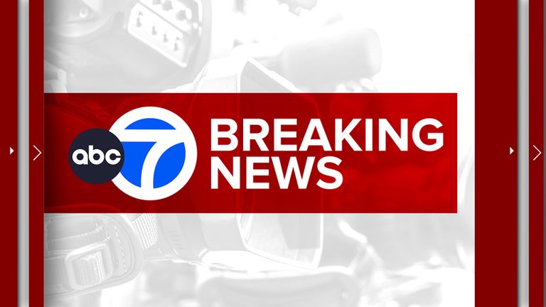 Man Killed By Falling Tree In East New York Parking Lot