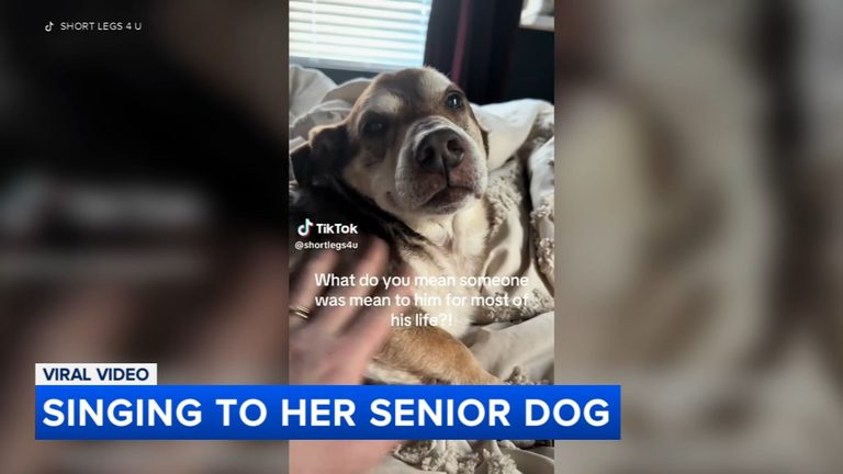 Marlton Resident S Tiktok Serenade To Senior Rescue Dog Goes Viral Promotes Seni