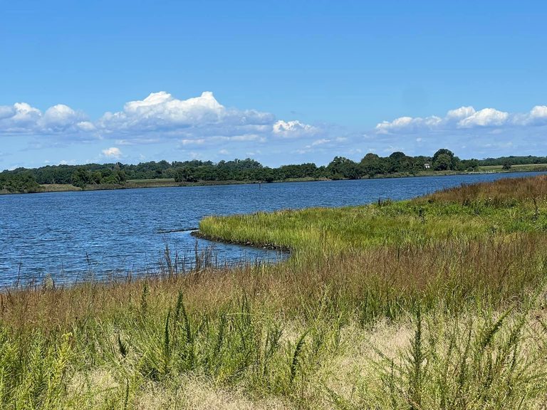 Maryland Dnr Leases 111 Acres For Regenerative Farming To Boost Soil Health And