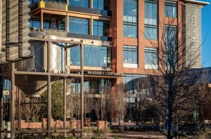 Mckinney Recall Petition Hits Required Signatures City Review Begins
