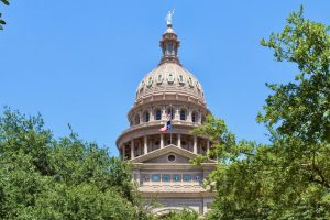 Mckinney Republicans 2025 Voting Record On Education Taxes And Safety Bills