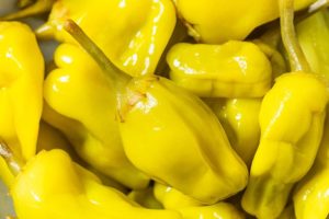 Mezzetta Recalls Golden Greek Peperoncini After Tiktok Video Shows Dead Mouse