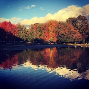 Michigan Fall Foliage Outlook Vibrant Colors Expected In October