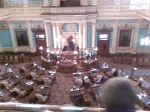 Michigan House Panel Reviews Ballot Petition Sampling After Amendment Fails