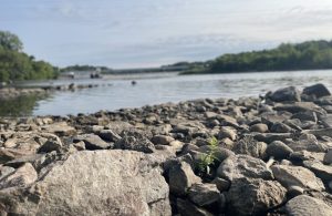 Minnesota Drought Conditions Ease Slightly As Fall Rains Arrive